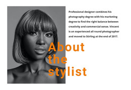 The Best Professional Stylists - Beautiful WordPress Theme