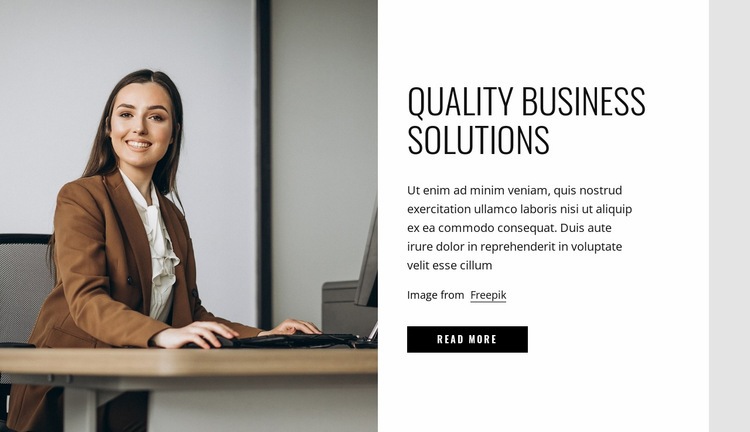 Quality business solutions Elementor Template Alternative