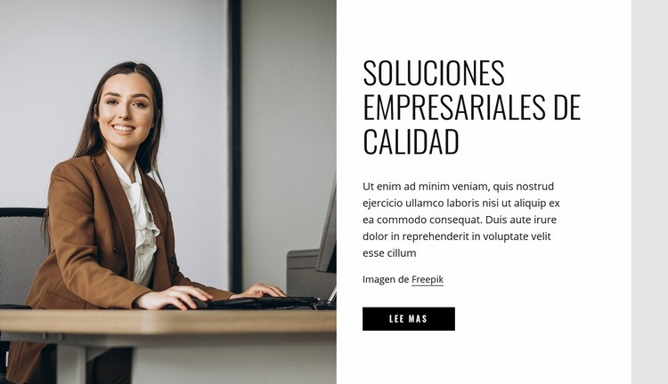 Soluciones empresariales de calidad Maqueta de sitio web