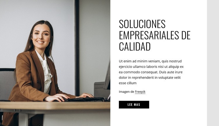 Soluciones empresariales de calidad Plantilla