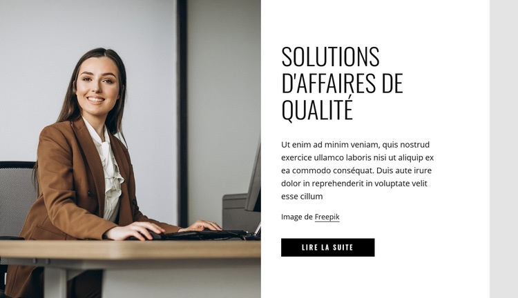 Solutions d'affaires de qualité Modèle