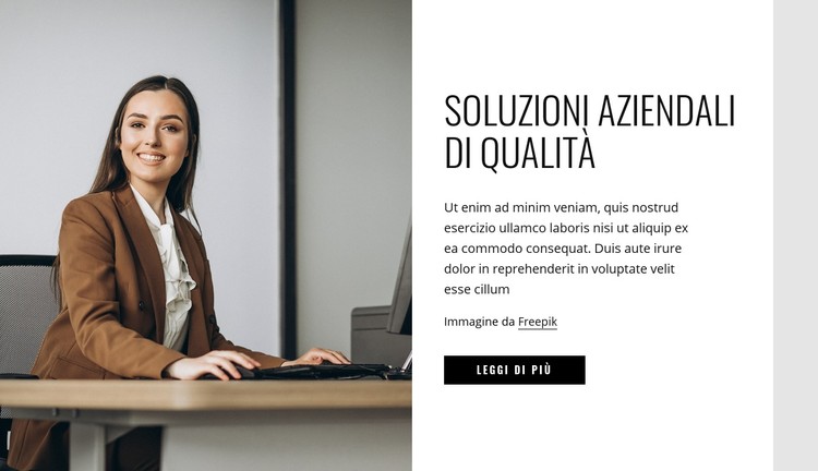 Soluzioni aziendali di qualità Modello CSS