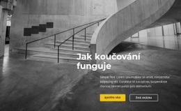 Podívejte Se Na Náš Úplný Seznam – Kód Šablony HTML