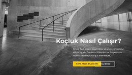 Tam Listemize Göz Atın - HTML Şablon Kodu