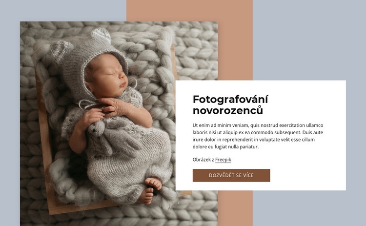 Fotografování novorozenců Šablona webové stránky