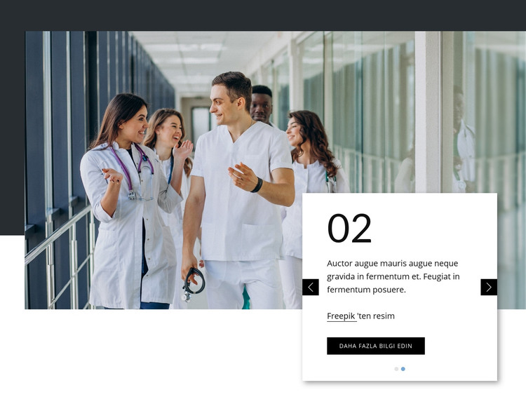 Lider birinci basamak sağlık hizmeti HTML Şablonu