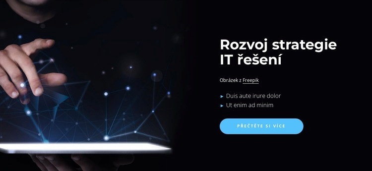 Řešení rozvoje strategie Téma WordPress