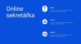 Online Podpora – Vstupní Stránka