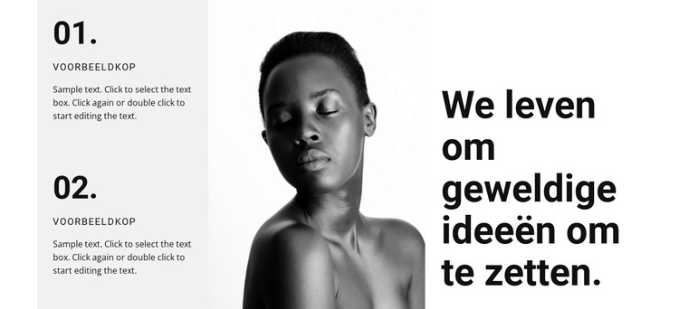 We leven naar onze ideeën Website sjabloon