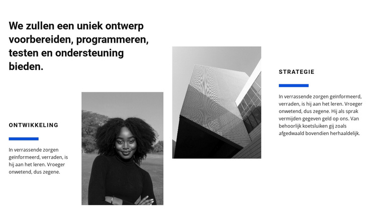 Ontwerp studiowerk WordPress-thema