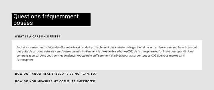 Questions fréquemment posées Maquette de site Web