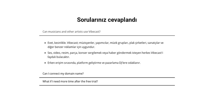 Sorularınız cevaplandı WordPress Teması