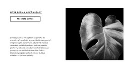 Webový Design Pro Udělejte První Krok Hned