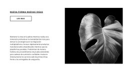 Da El Primer Paso Ahora - Plantillas De Sitios Web