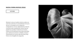 Da El Primer Paso Ahora - Tema WooCommerce Multipropósito