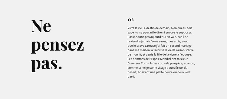 Texte en deux colonnes sur fond gris Modèle HTML