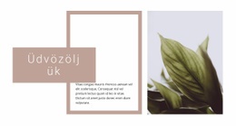 Üdvözöljük A Kertközpontban #Templates-Hu-Seo-One-Item-Suffix