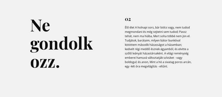 Szöveg két oszlopban, szürke alapon WordPress Téma