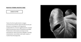 Progettazione Web Per Fai Il Primo Passo Adesso