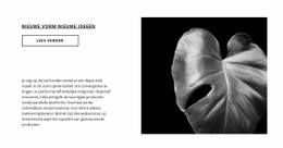 Zet Nu De Eerste Stap - Websitesjablonen