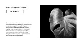 Zrób Pierwszy Krok Teraz Profesjonalny Projekt