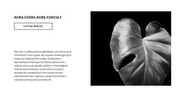 Niestandardowe Czcionki, Kolory I Grafika Dla Zrób Pierwszy Krok Teraz