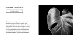 Şimdi Ilk Adımı Atın Için Web Tasarımı