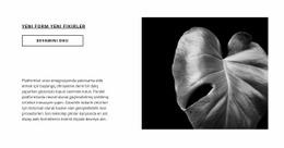 Şimdi Ilk Adımı Atın - Web Sitesi Şablonları