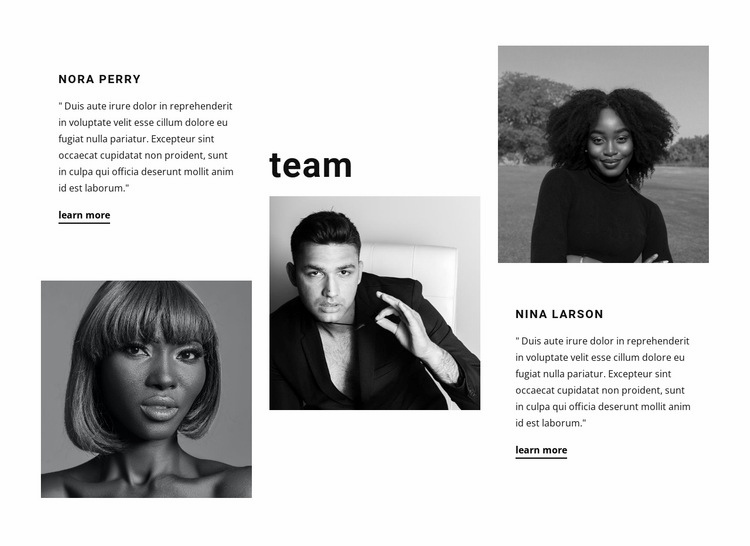 Opinions of company members Squarespace Template Alternative