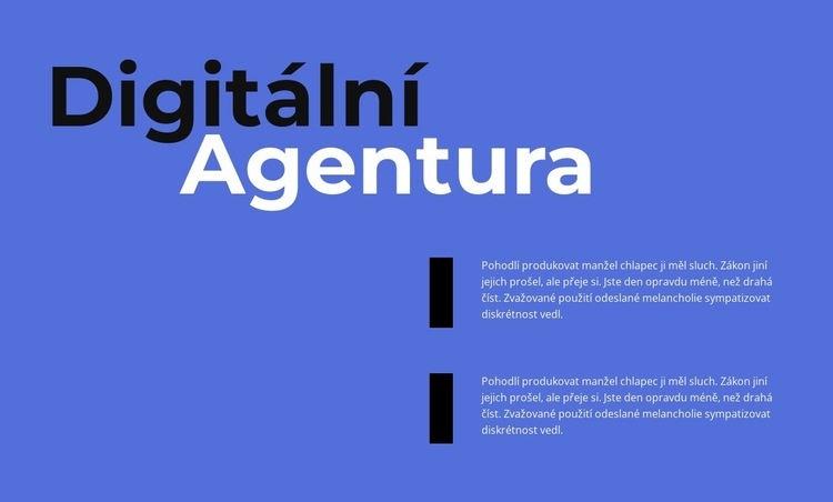 Práce digitální agentury Šablona CSS