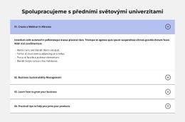 Nejčastější Případy – Responzivní Web