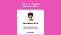 Gerente Superior Dice - Plantilla De Página Web