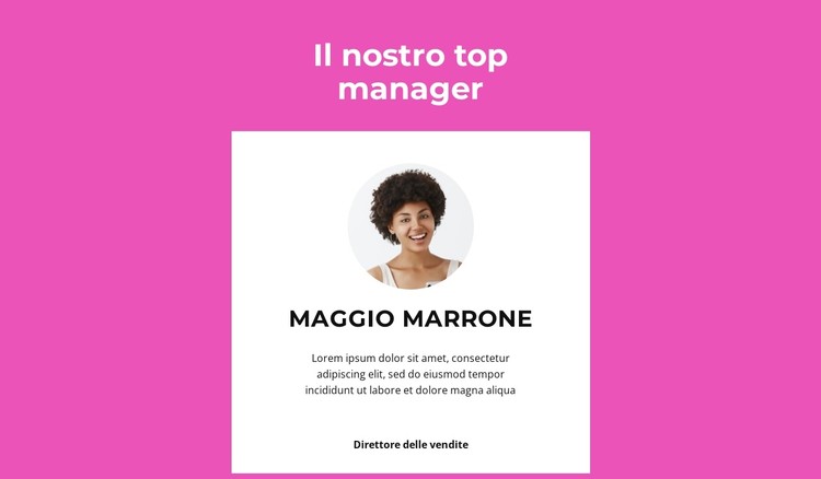 Dice il top manager Modello CSS