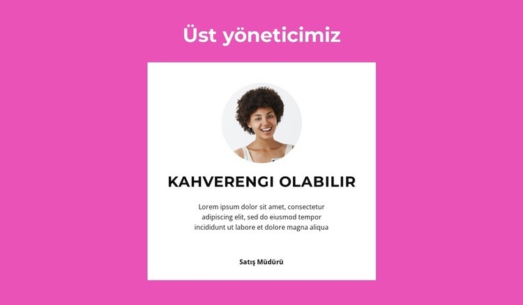 Üst yönetici diyor Web Sitesi Oluşturucu Şablonları