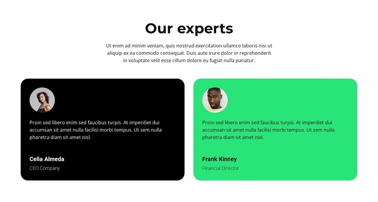 Our best experts Landing Page