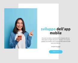 Caratteri, Colori E Grafica Personalizzati Per Processo Di Creazione Di Applicazioni Software