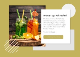 Meyve Suyu Kokteylleri - Ücretsiz WordPress Teması