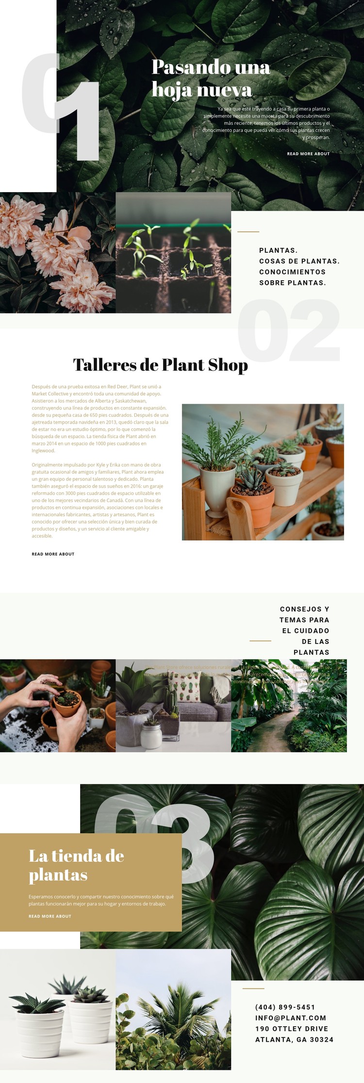 Tienda de plantas Plantilla CSS