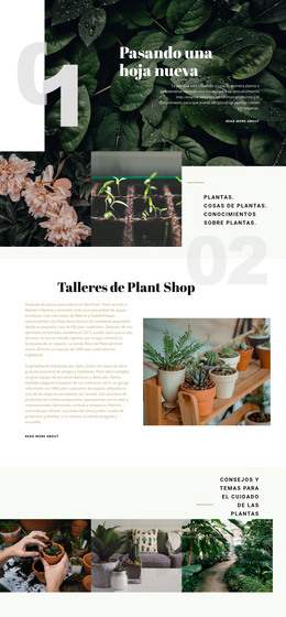 Tienda De Plantas