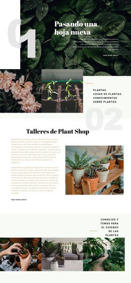 Plantilla De Página De Destino Para Tienda De Plantas