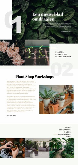 Meest Creatieve HTML5-Sjabloon Voor Plantenwinkel