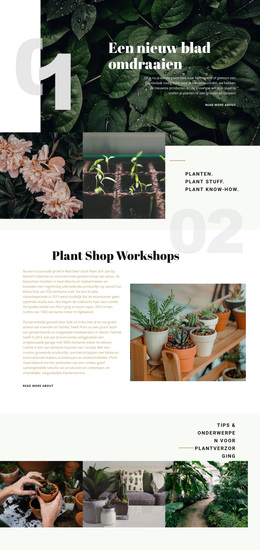 Plantenwinkel - Responsief WordPress-Thema