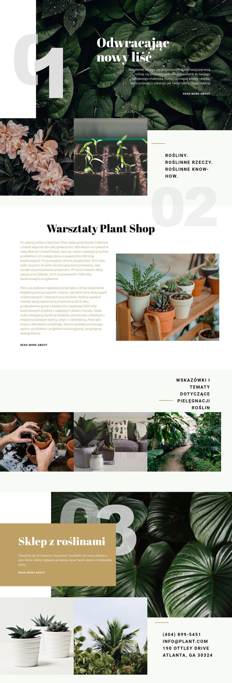 Sklep z roślinami Makieta strony internetowej