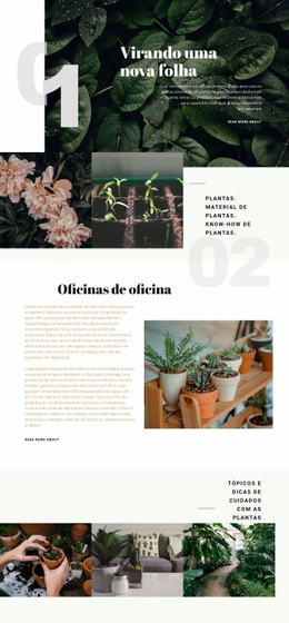 Loja De Plantas - HTML Website Creator