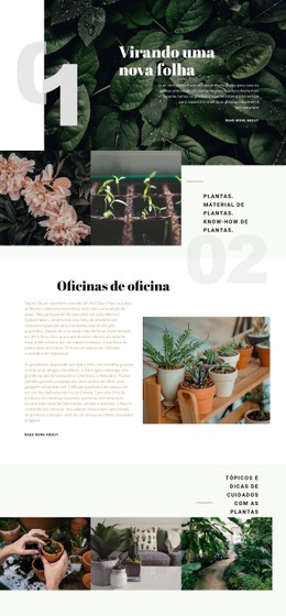 Loja De Plantas Modelo CSS Premium