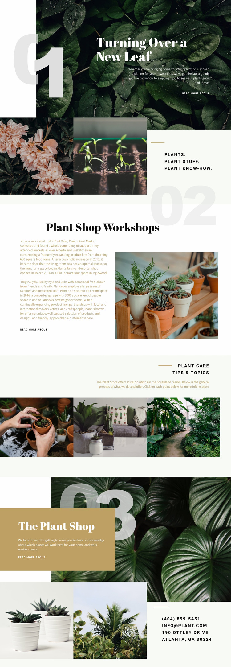 Plant Shop Web Page Design
