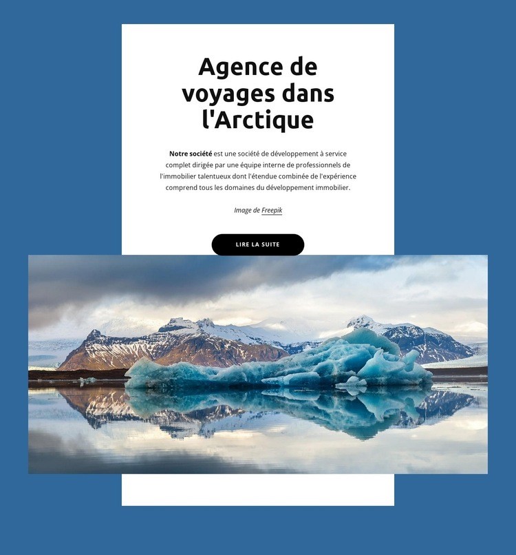 Agence de voyages dans l'Arctique Maquette de site Web