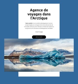 Agence De Voyages Dans L'Arctique Modèle De Conception