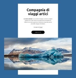 Progettazione Di Siti Web Compagnia Di Viaggi Artici Per Qualsiasi Dispositivo