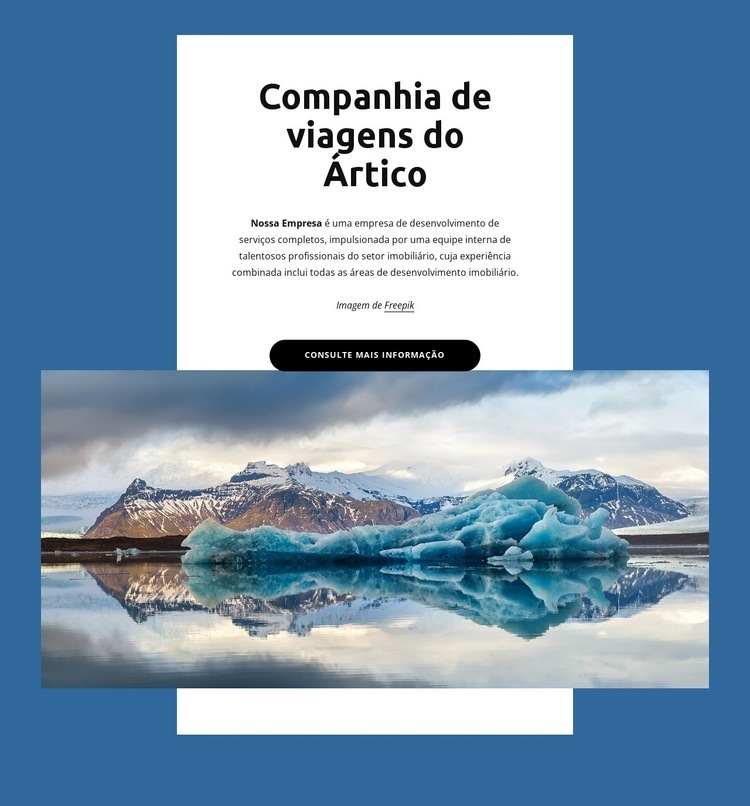 empresa de viagens do Ártico Design do site